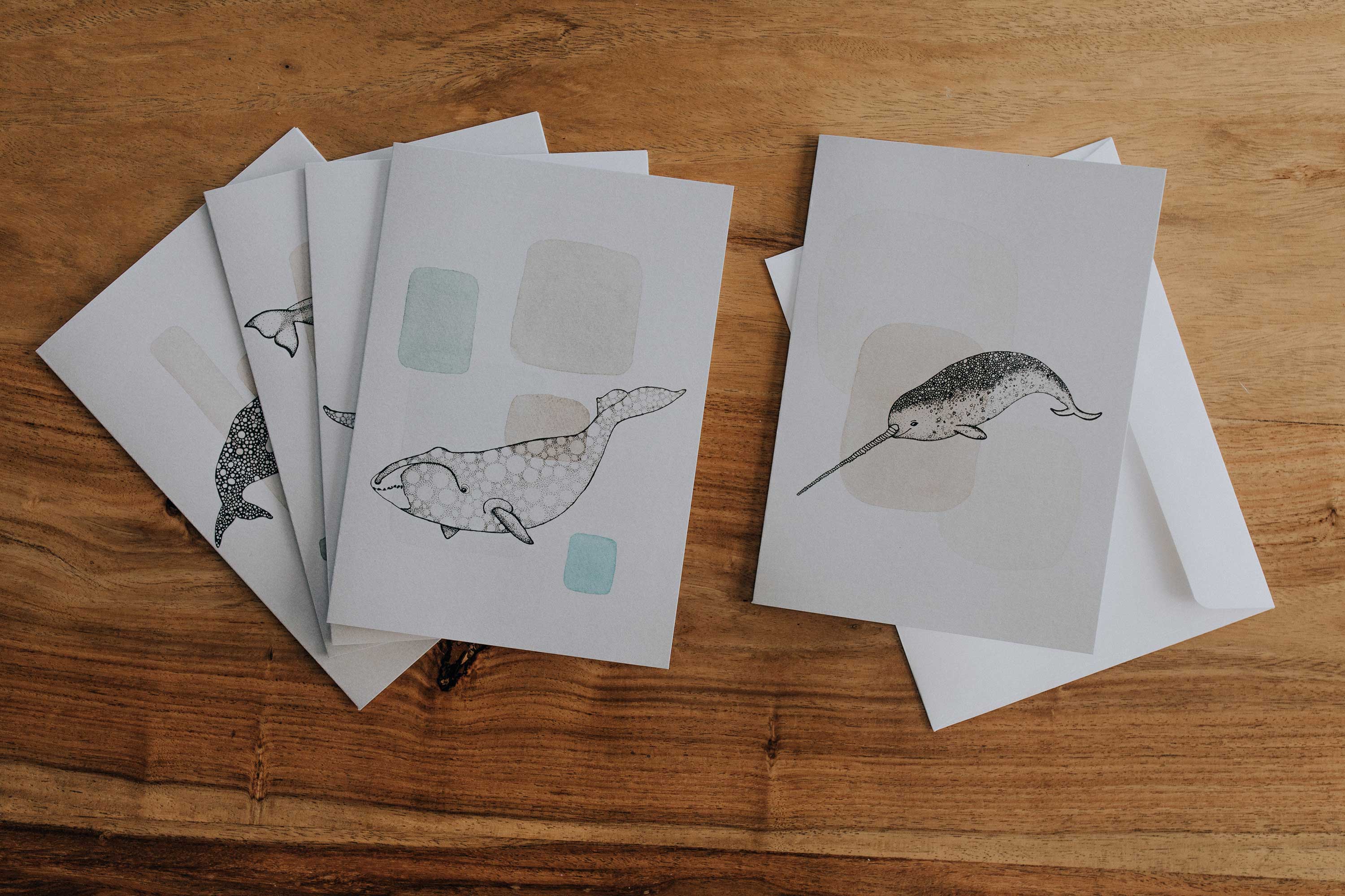 Ensemble Mammifères marins