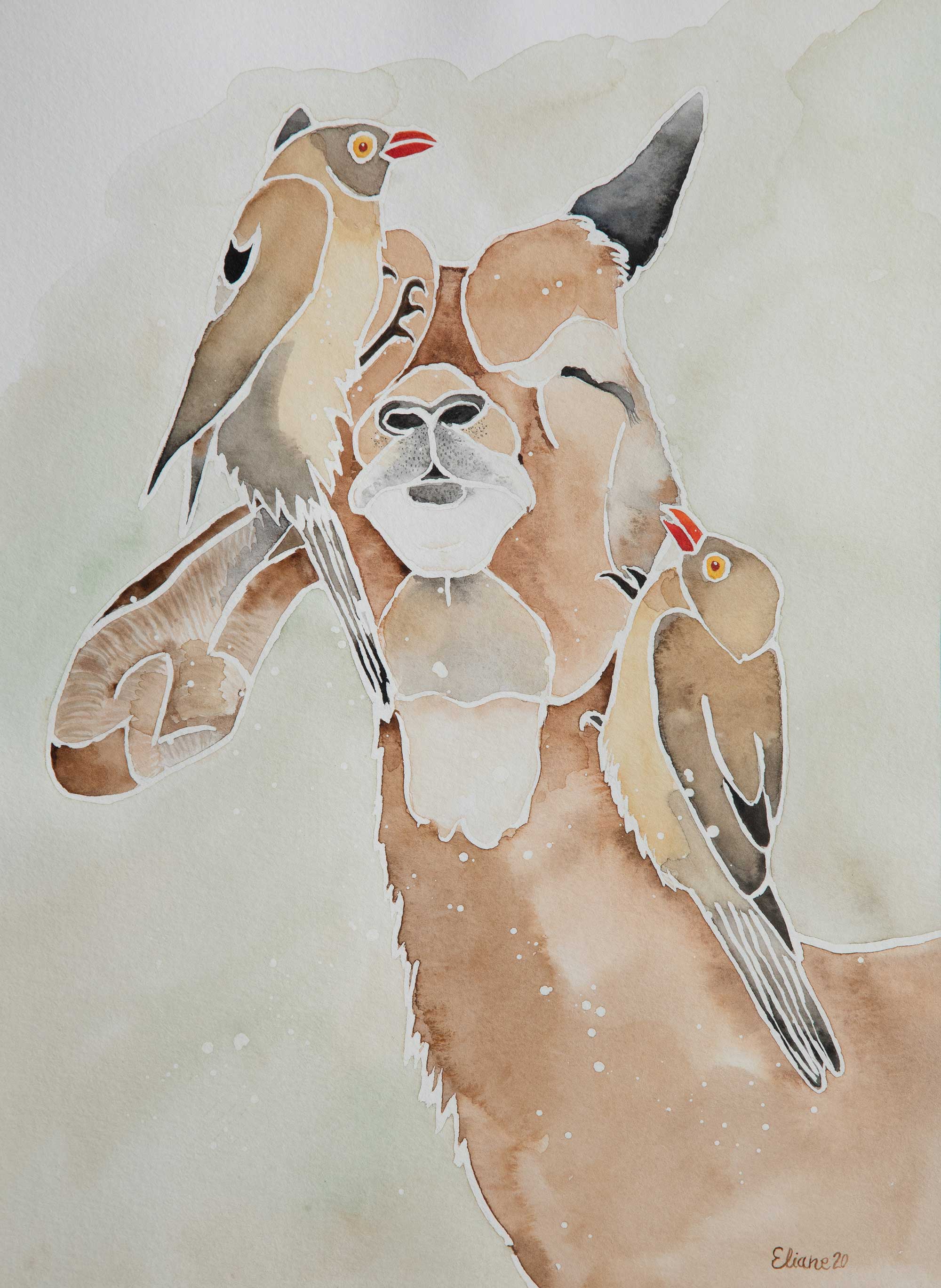 Impala et ses deux amis